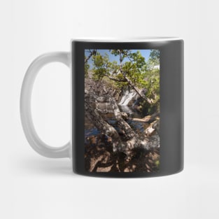 Mid Eas Fors Mug